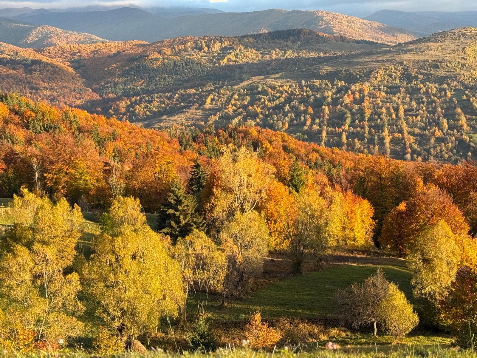 Cazare în natură Secăria Prahova — Sătucul Verde A-Frame și Container House